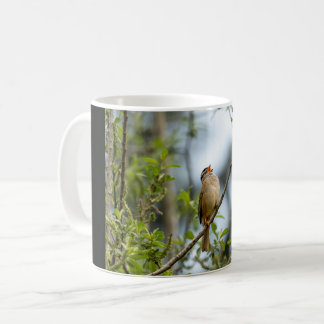 Weißkopfammer – Fine Art Vogel Fotografie Kaffeetasse