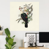 Weißkopffruchttaube, Vintag Poster (Heimbüro)