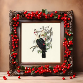 Weißkopffruchttaube, Vintag Poster