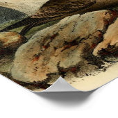 Weißkopfmöwe Poster (Ecke)