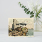 Weißkopfmöwe Postkarte (Stehend Vorderseite)