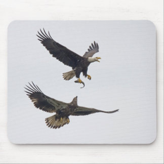 Weißkopfseeadler 11 Mousepad
