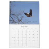 Weißkopfseeadler 2015 kalender (Mär 2027)