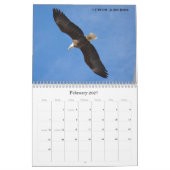 Weißkopfseeadler 2015 kalender (Feb 2027)