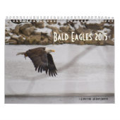 Weißkopfseeadler 2015 kalender (Titelbild)