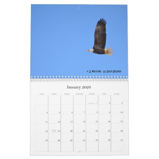 Weißkopfseeadler 2015 kalender (Jan 2026)