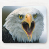 Weißkopfseeadler #2-Mousepad Mousepad (Vorne)