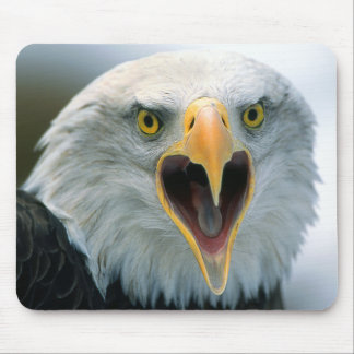 Weißkopfseeadler #2-Mousepad Mousepad