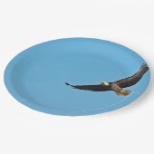 Weißkopfseeadler 7 pappteller (Schrägansicht)