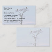 Weißkopfseeadler am Reelfoot Visitenkarte (Vorne/Hinten)