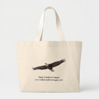 Weißkopfseeadler-Ansteigen