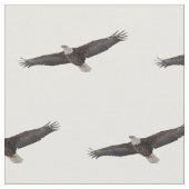 Weißkopfseeadler-Ansteigen Stoff (Nahaufnahme)