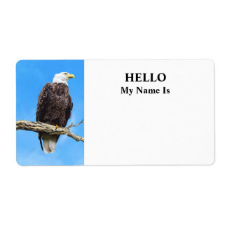 Weißkopfseeadler auf einem Ast sitzend