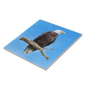 Weißkopfseeadler auf einem Ast sitzend Fliese (Seite)