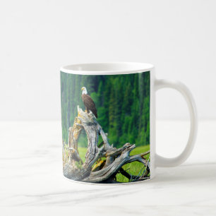 Weißkopfseeadler auf einem Ast sitzend Kaffeetasse