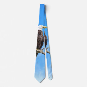 Weißkopfseeadler auf einem Ast sitzend Krawatte