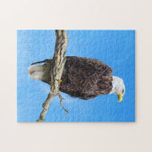 Weißkopfseeadler auf einem Ast sitzend Puzzle (Horizontal)