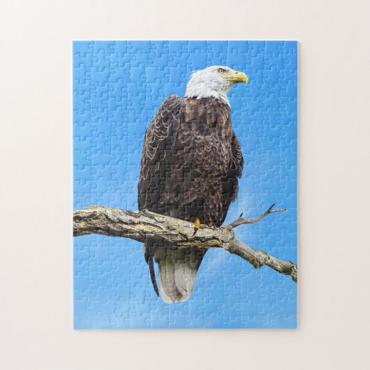 Weißkopfseeadler auf einem Ast sitzend Puzzle (Vertikal)