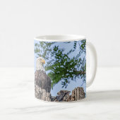 Weißkopfseeadler auf einem Baumast Kaffeetasse (VorderseiteRechts)