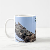 Weißkopfseeadler auf einem Baumast Kaffeetasse (Links)