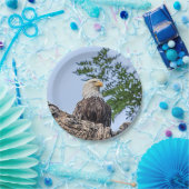 Weißkopfseeadler auf einem Baumast Pappteller (Party)