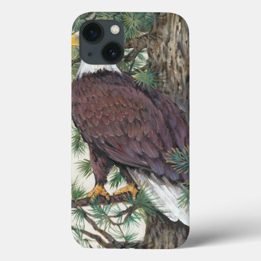 Weißkopfseeadler auf Niederlassung Case-Mate iPhone Hülle (Rückseite)