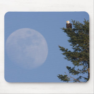Weißkopfseeadler   Aufgehender Vollmond Mousepad