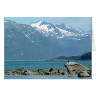 Weißkopfseeadler bei Skagway Alaska