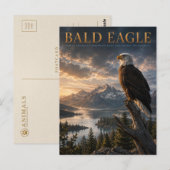 Weißkopfseeadler-Bergsee-TIERE Postkarte (Vorne/Hinten)