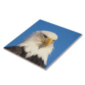 Weißkopfseeadler Blick Fliese (Seite)