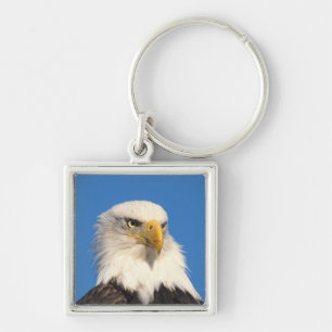 Weißkopfseeadler Blick Schlüsselanhänger
