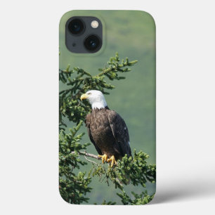 Weißkopfseeadler Case-Mate iPhone Hülle