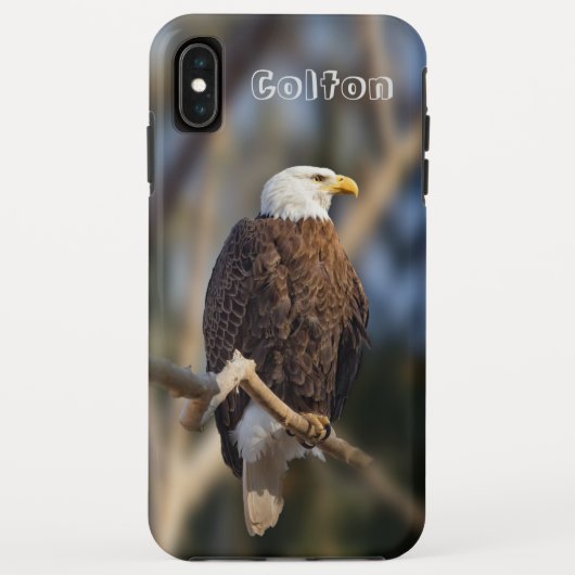 Weißkopfseeadler Case-Mate iPhone Hülle (Rückseite)