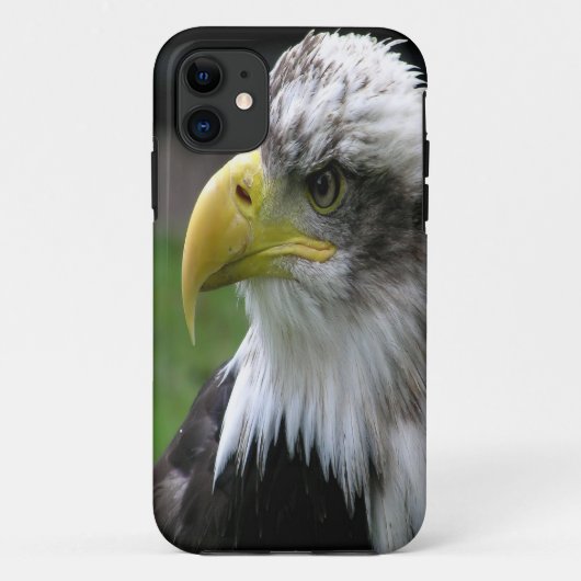 Weißkopfseeadler Case-Mate iPhone Hülle (Rückseite)