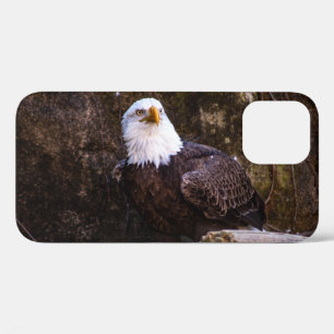 Weißkopfseeadler Case-Mate iPhone Hülle