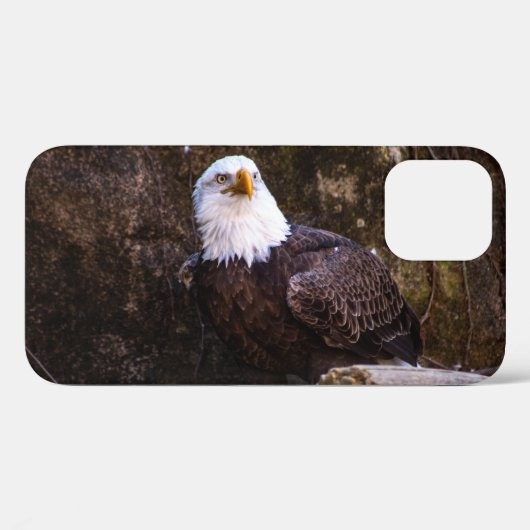 Weißkopfseeadler Case-Mate iPhone Hülle (Rückseite (Horizontal))