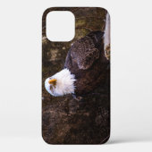 Weißkopfseeadler Case-Mate iPhone Hülle (Rückseite)