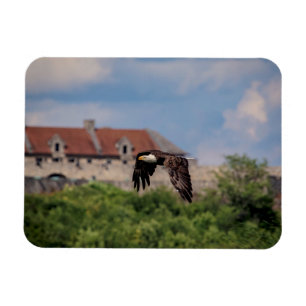 Weißkopfseeadler, der Fort Ticonderoga führt Magnet