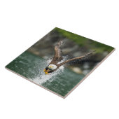 Weißkopfseeadler der große Fang Fliese (Seite)