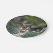 Weißkopfseeadler der große Fang Pappteller (Schrägansicht)