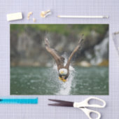 Weißkopfseeadler der große Fang Seidenpapier (Handwerk)