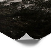 Weißkopfseeadler durch Nebel fliegend Poster (Ecke)