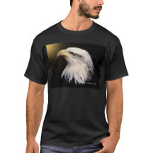 Weißkopfseeadler/Fliege mit Eagles