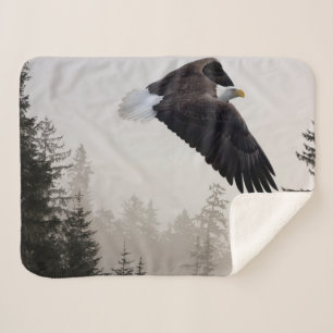 Weißkopfseeadler fliegt durch den Nebel Sherpadecke
