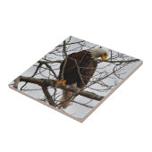 Weißkopfseeadler Fliese (Seite)