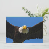 Weißkopfseeadler Flug nah Dankeskarte (Stehend Vorderseite)