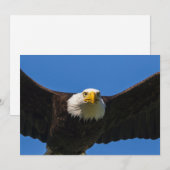 Weißkopfseeadler Flug nah Dankeskarte (Vorne/Hinten)