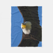 Weißkopfseeadler Flug nah Fleecedecke (Vorderseite)