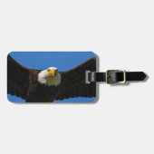 Weißkopfseeadler Flug nah Gepäckanhänger (Vorderseite horizontal)