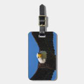 Weißkopfseeadler Flug nah Gepäckanhänger (Vorderseite vertikal)